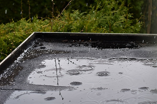 Signs Your Commercial Flat Roof Needs Repairs or Replacement