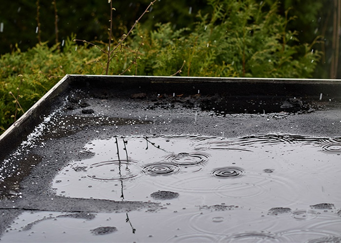 Signs Your Commercial Flat Roof Needs Repairs or Replacement