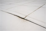 Common TPO Roof Issues & How to Prevent Them